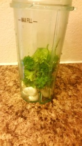 garlic parsely pesto