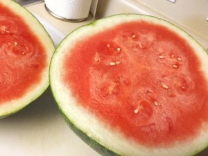 watermelon