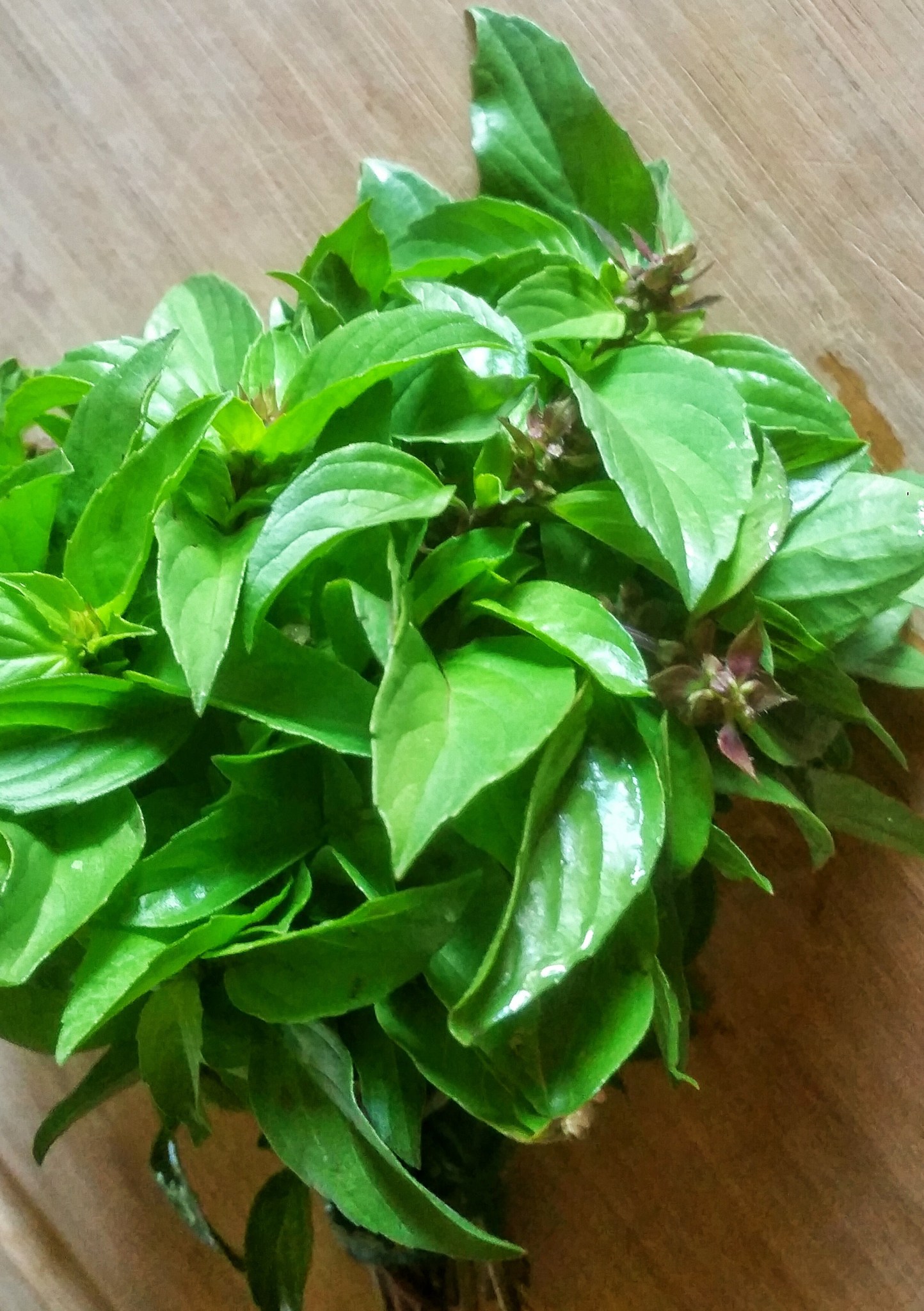 Fresh-Thai-Basil