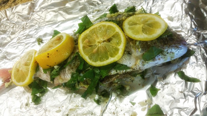 ankitha-gadag-snapper-fish.jpeg